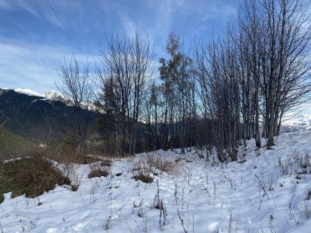 Combelouvière - Avant